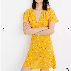 Madewell Silk Belladonna Dress Painted Carnations